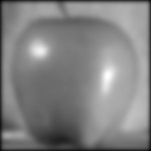 apple_l5