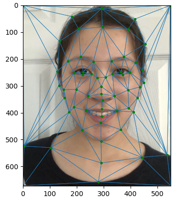 me_triangulation