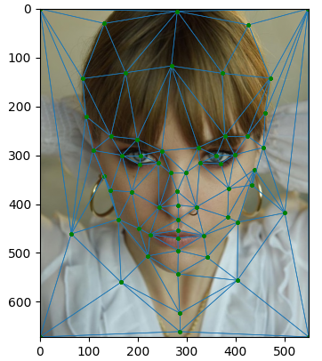 vic_triangulation