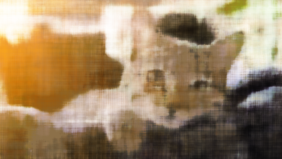 cat2