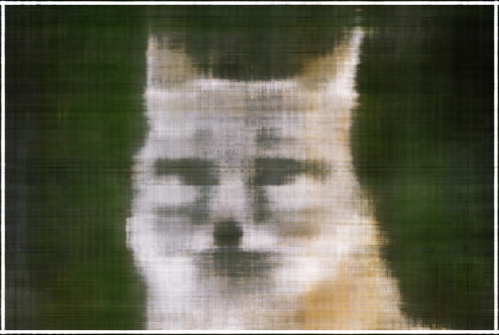 foxb2