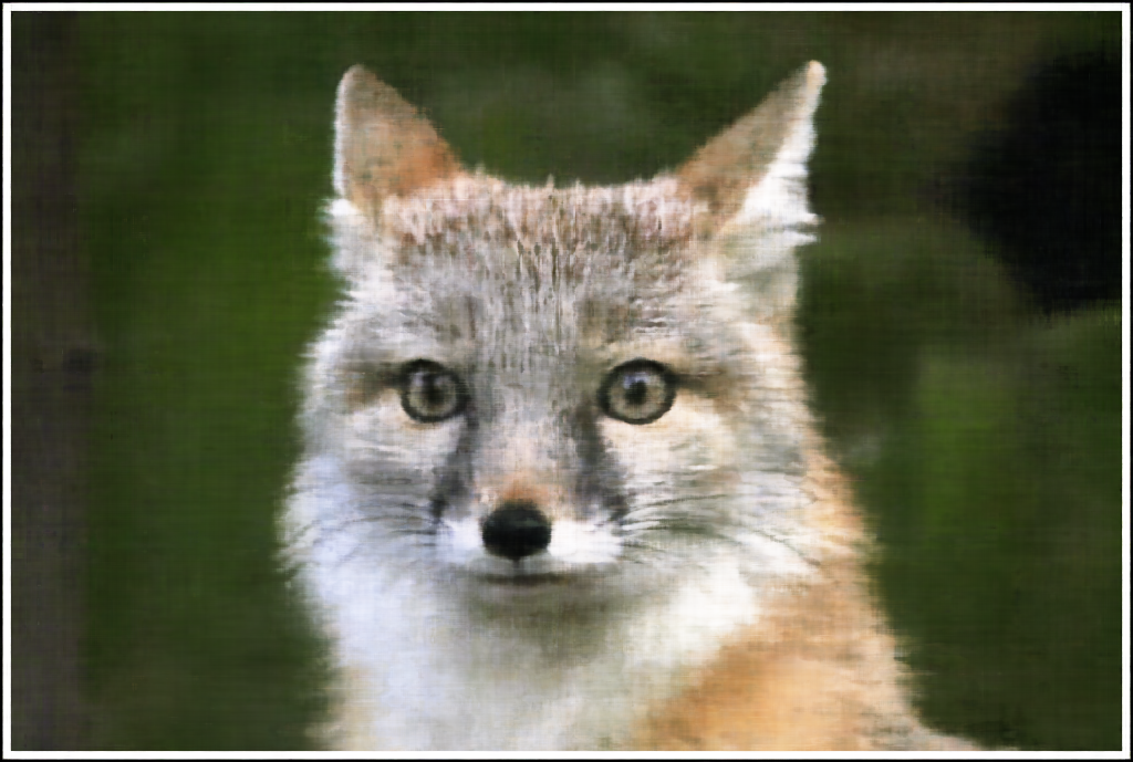 foxb3